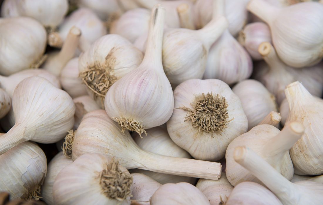 Market Garlic