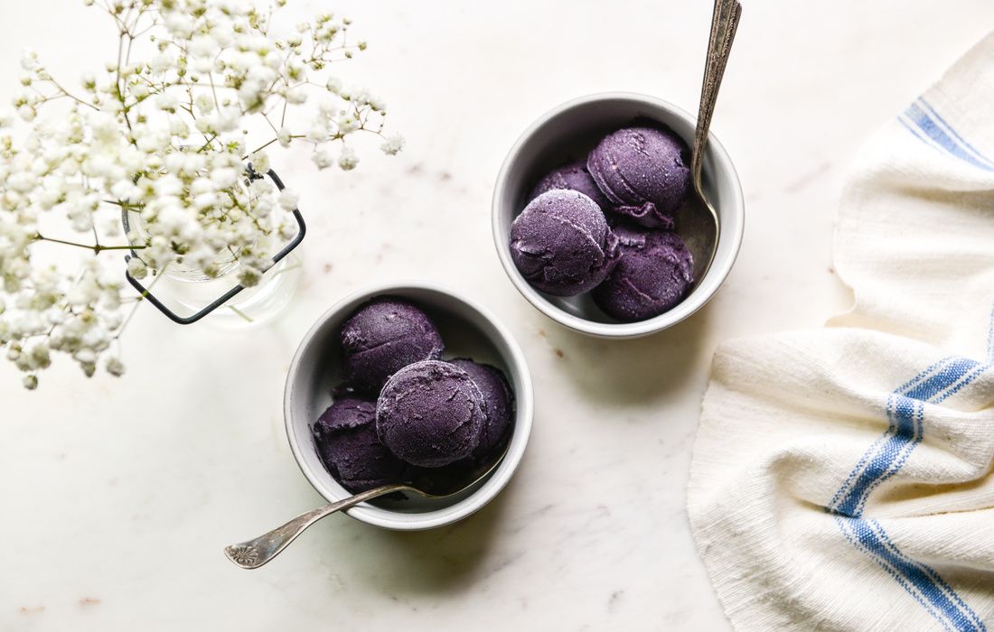 ANTI-INFLAMMATORY BLUEBERRY SORBET SUGAR-FREE-1