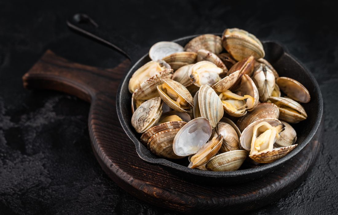 COOKED CLAMS-1