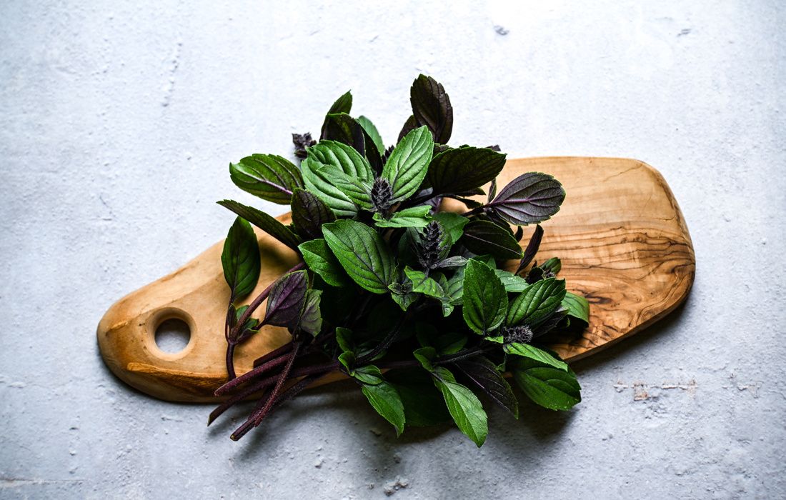FRESH AFRICAN BLUE BASIL
