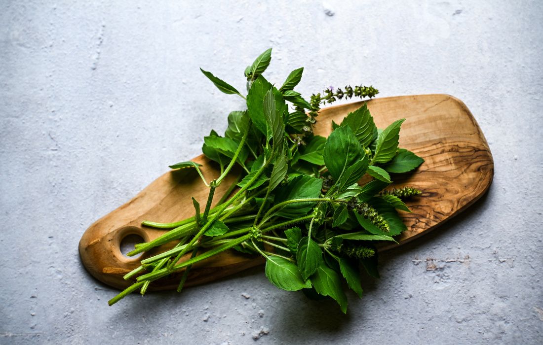FRESH HOLY BASIL