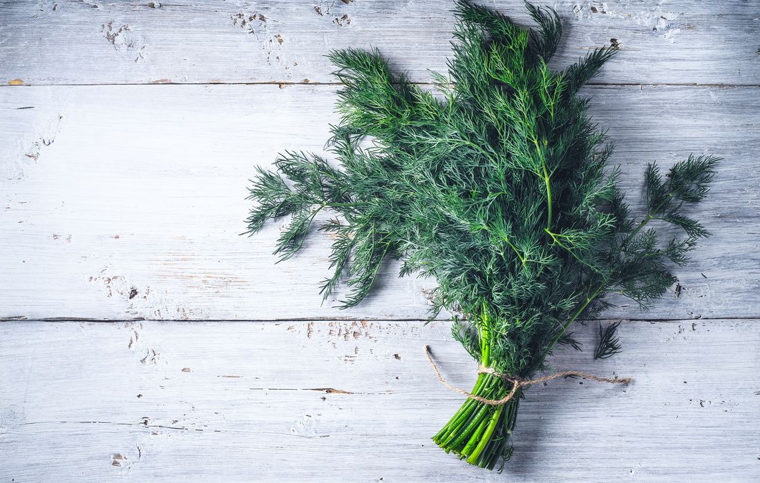 FRESH ORGANIC DILL BUNCH-11