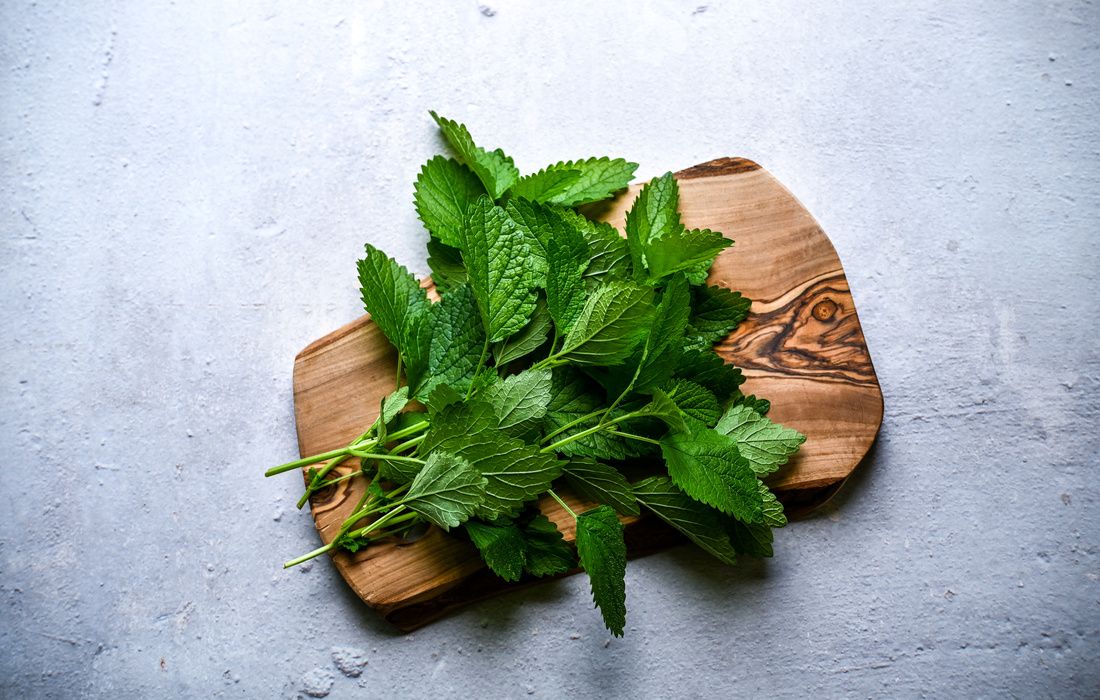 FRESH ORGANIC GARDEN LEMON BALM-1