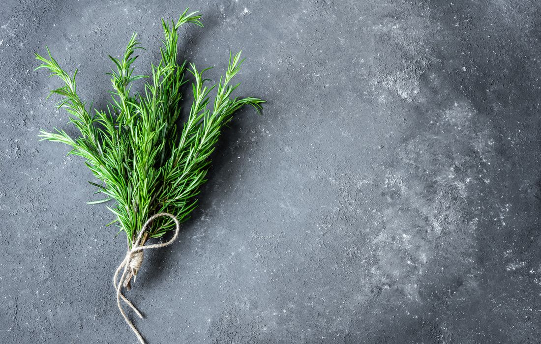 FRESH ORGANIC ROSEMARY-1