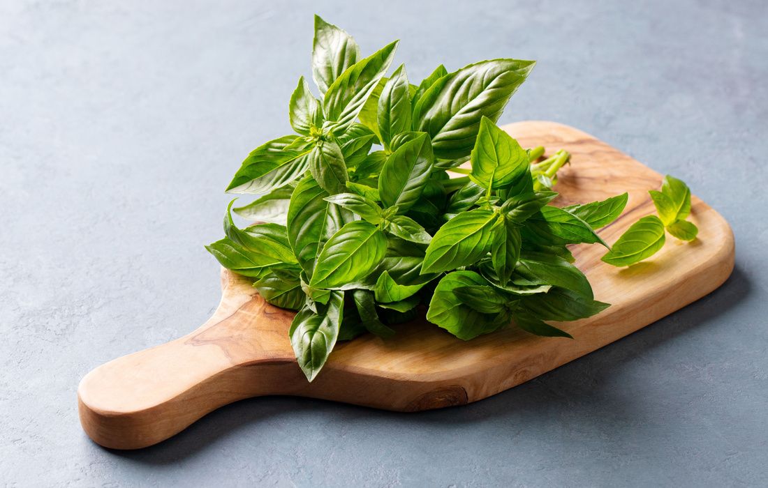 FRESH SWEET BASIL-2