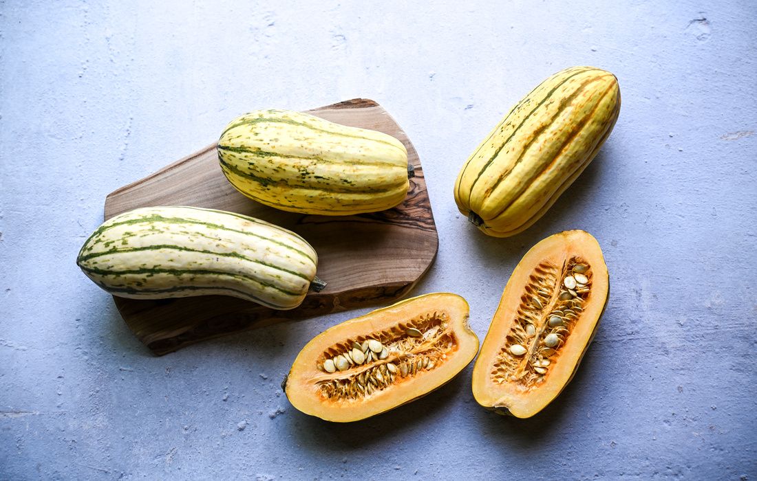 ORGANIC DELICATA SQUASH-31