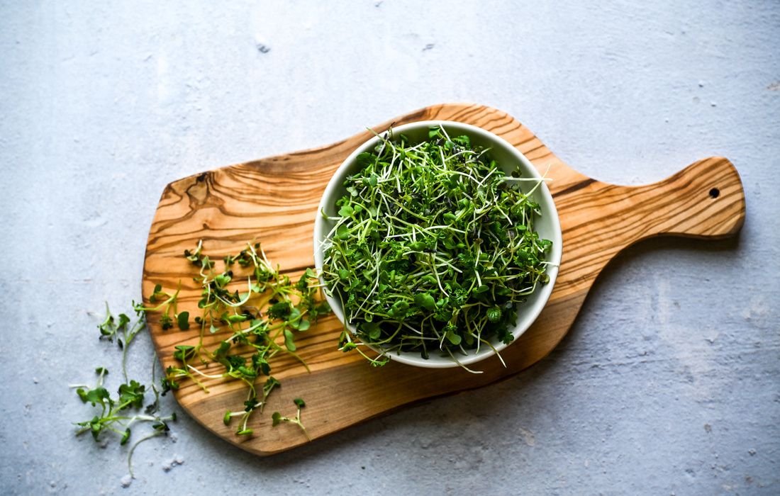 ORGANIC FRESH MICROGREENS-1