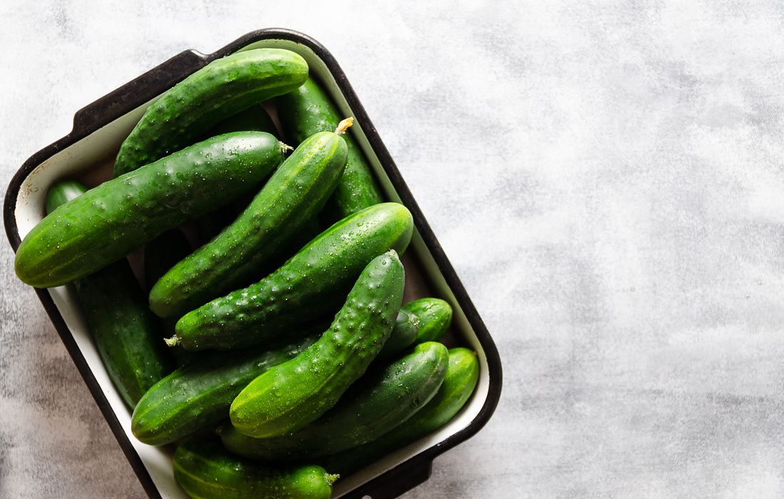 ORGANIC GARDEN FRESH CUCUMBERS-3