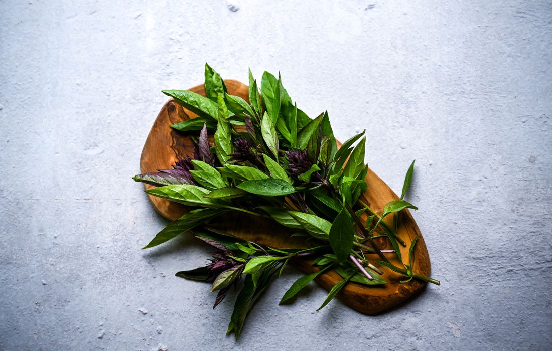 ORGANIC GARDEN FRESH THAI BASIL-2