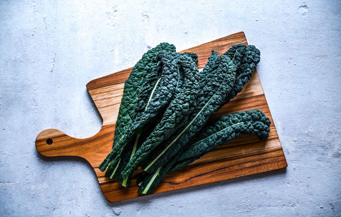 ORGANIC GARDEN LACINATO BLACK KALE-11