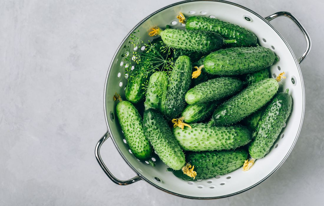 ORGANIC PICKLING CUCUMBERS-2