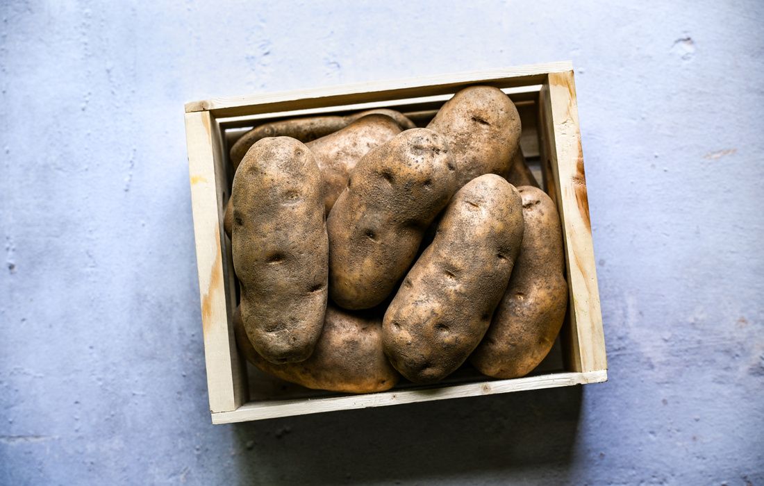 ORGANIC RUSSET POTATOES-1