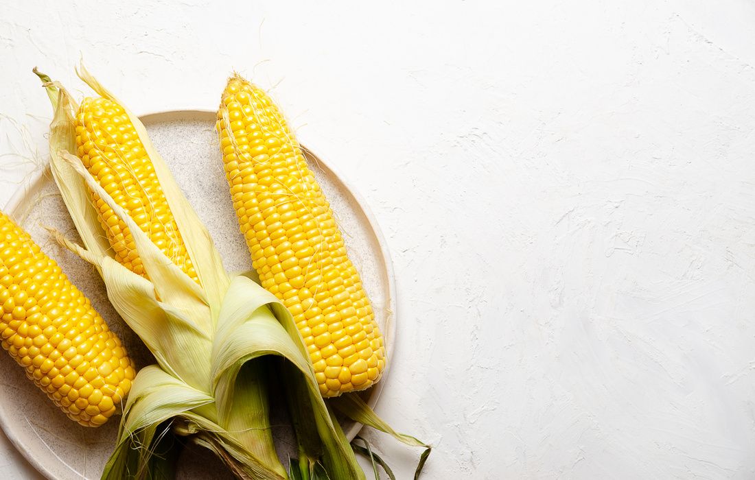 ORGANIC SWEET CORN ON THE COB-1