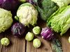 CRUCIFEROUS VEGETABLES-1