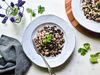 TURKEY-GINGER-CABBAGE-BLACK-RICE-HASH-1