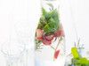 Fruit and Herb Infused Water