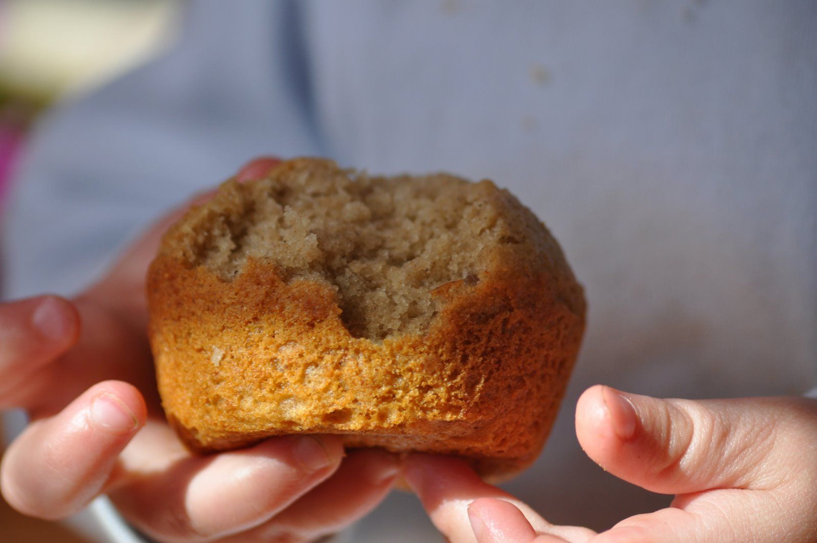 How to Make Gluten Free Rhubarb Muffins - Kiss Gluten Goodbye