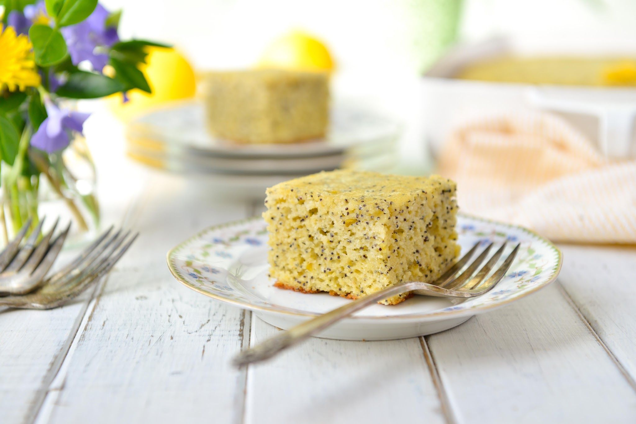 Grain-Free Paleo Lemon Poppy Seed Cake