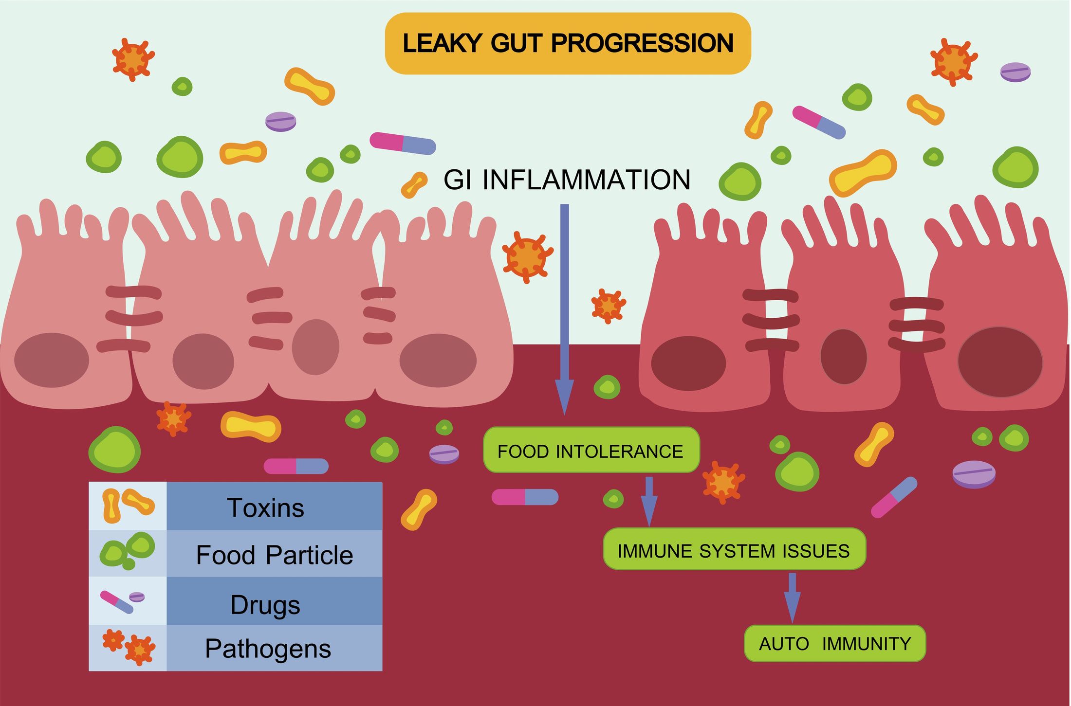 LEAKY GUT PROGRESSION