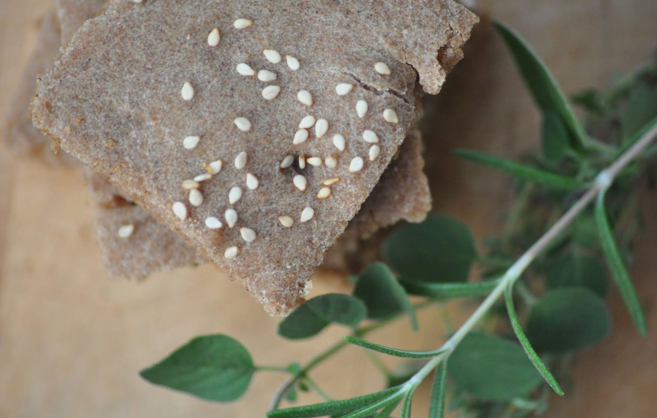 Gluten-Free Yeast-Free Vegan Whole Grain Flatbread
