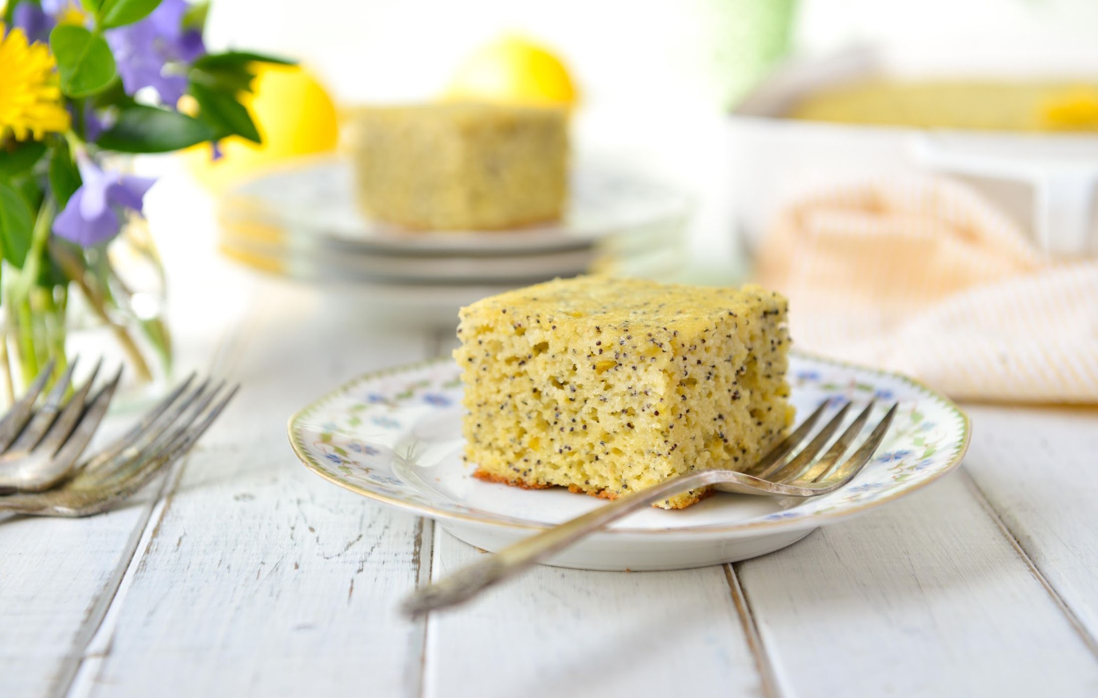 Grain-Free Paleo Lemon Poppy Seed Cake