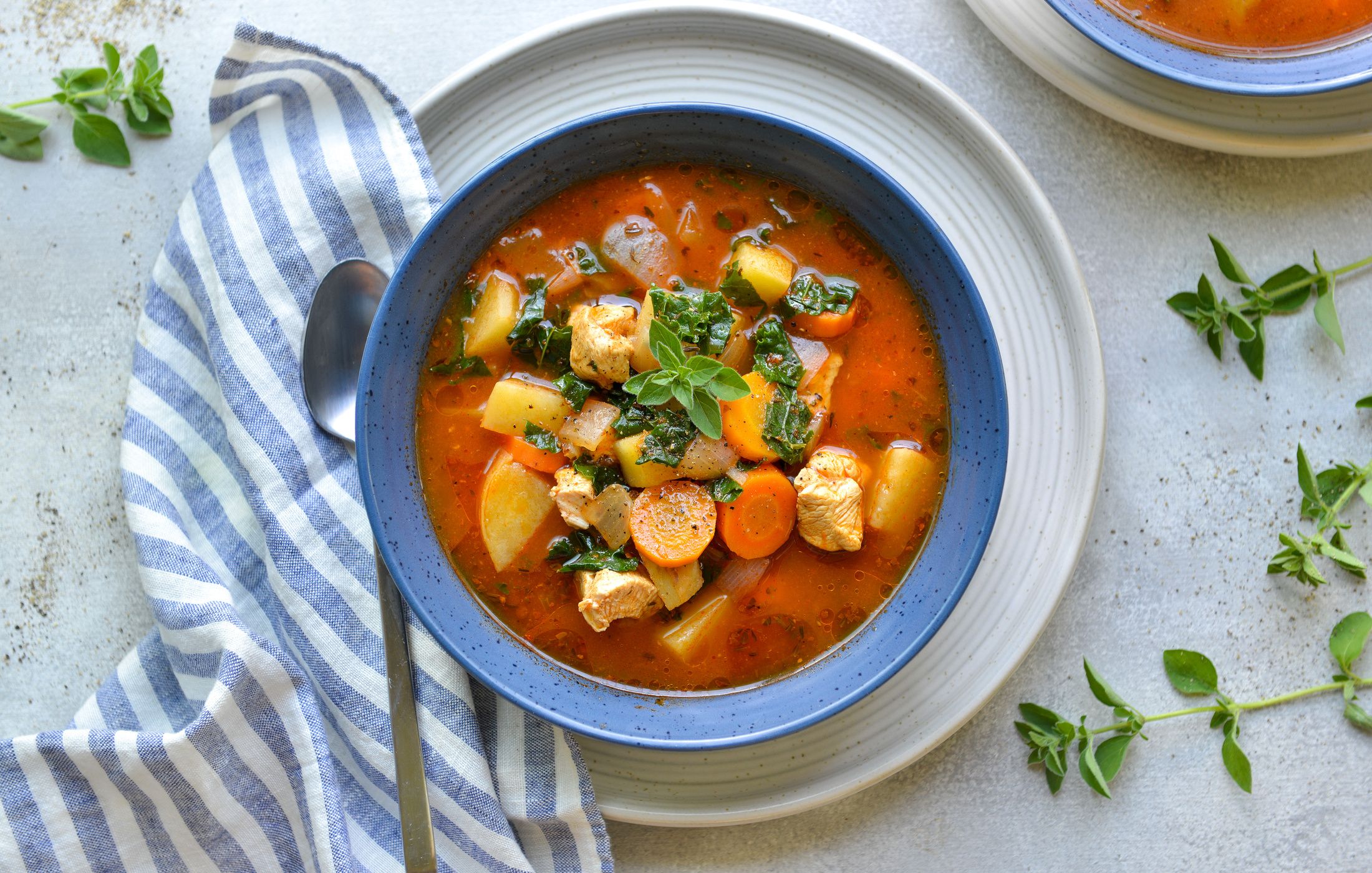 HERBED CHICKEN AND VEGETABLE SOUP-1