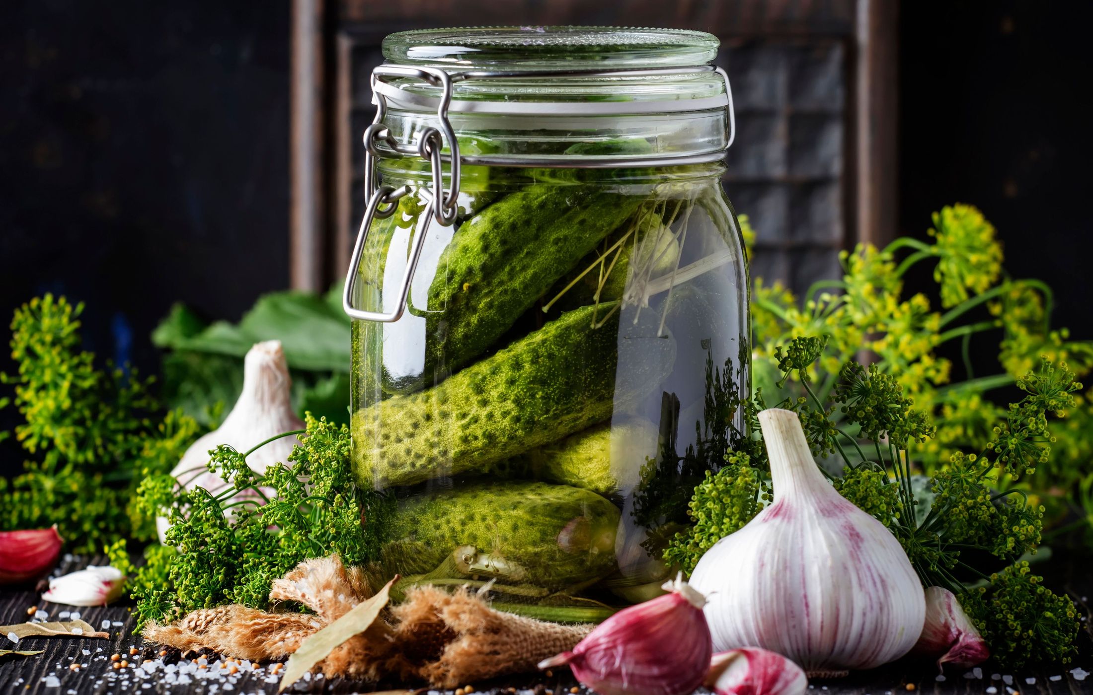 HOMEMADE FERMENTED DILL PICKLES-1