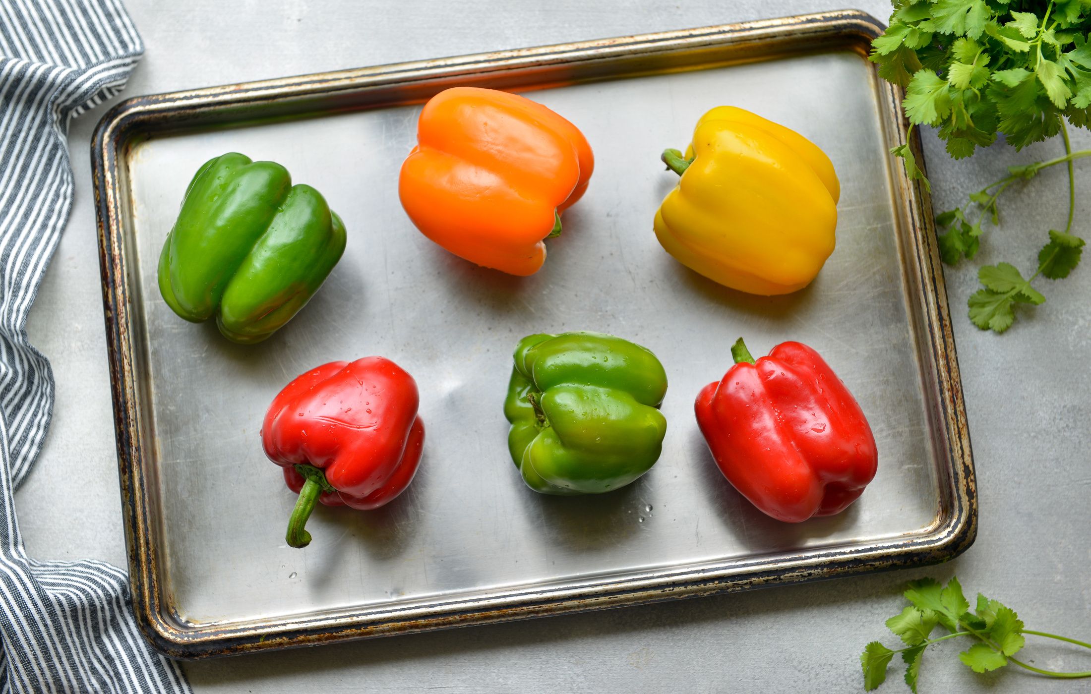 ROASTED SWEET PEPPER SALSA-3