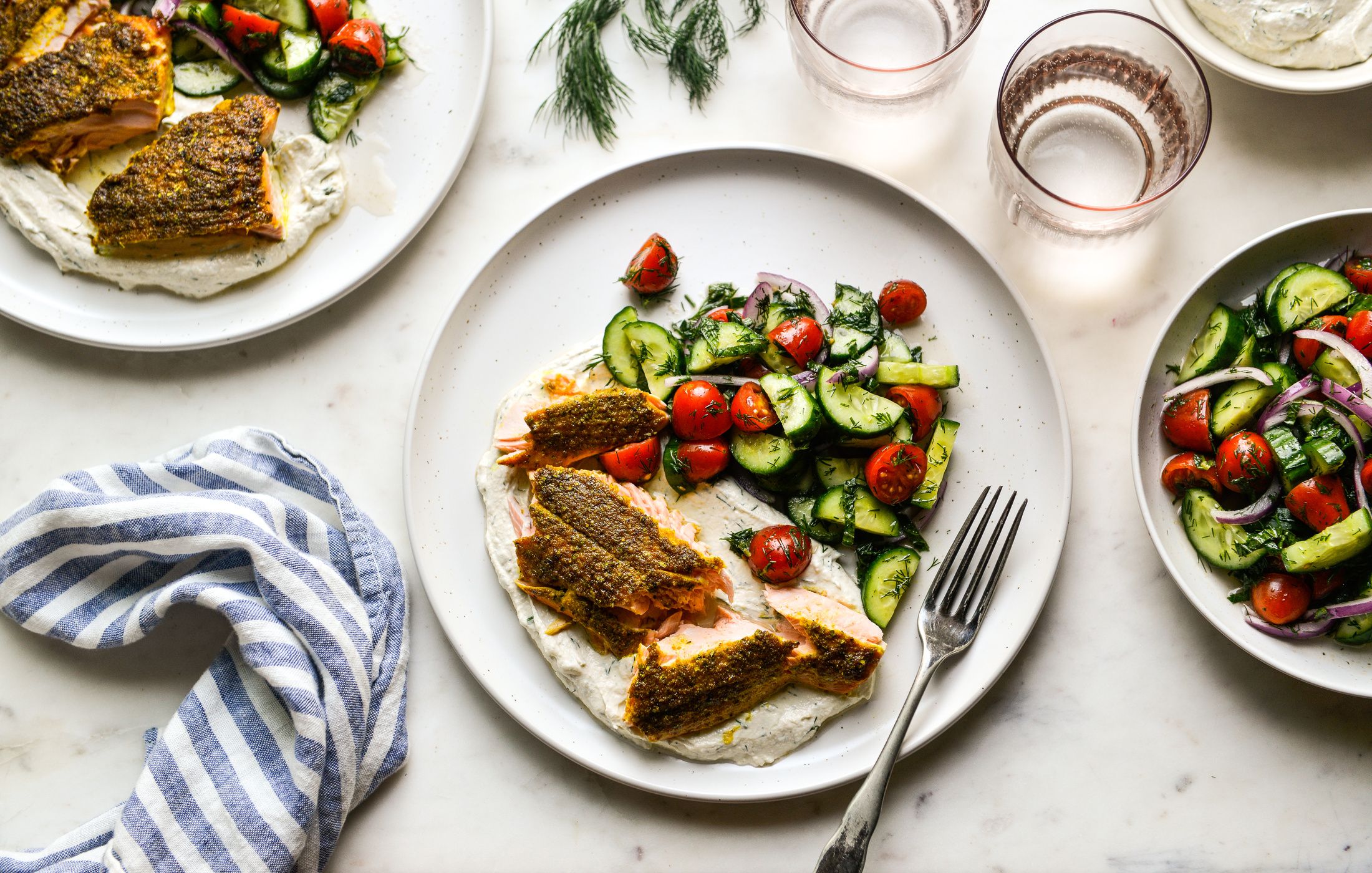 Shawarma Salmon and Cucumber-Herb Salad-1