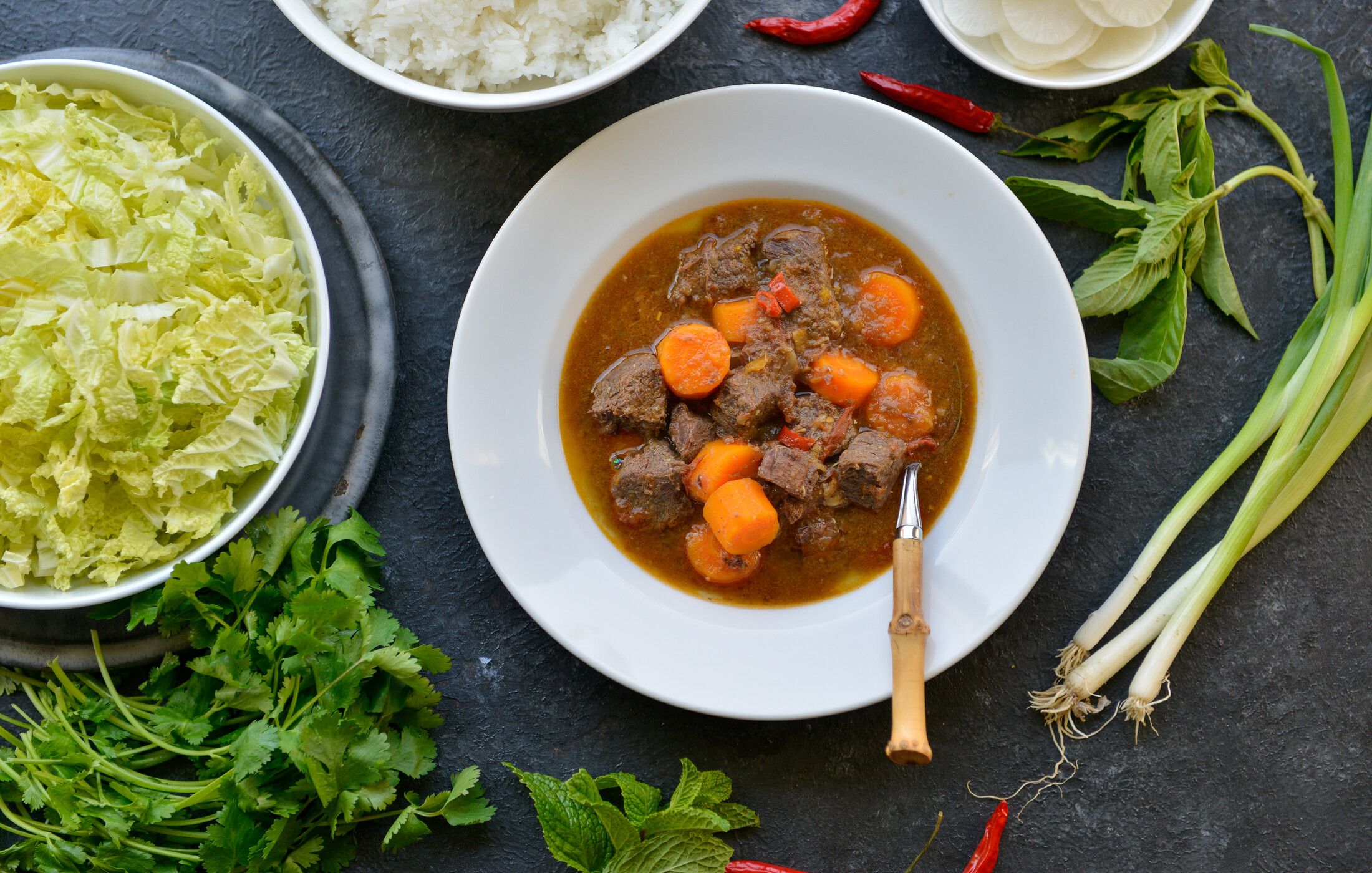 Vietnamese Beef Stew-1