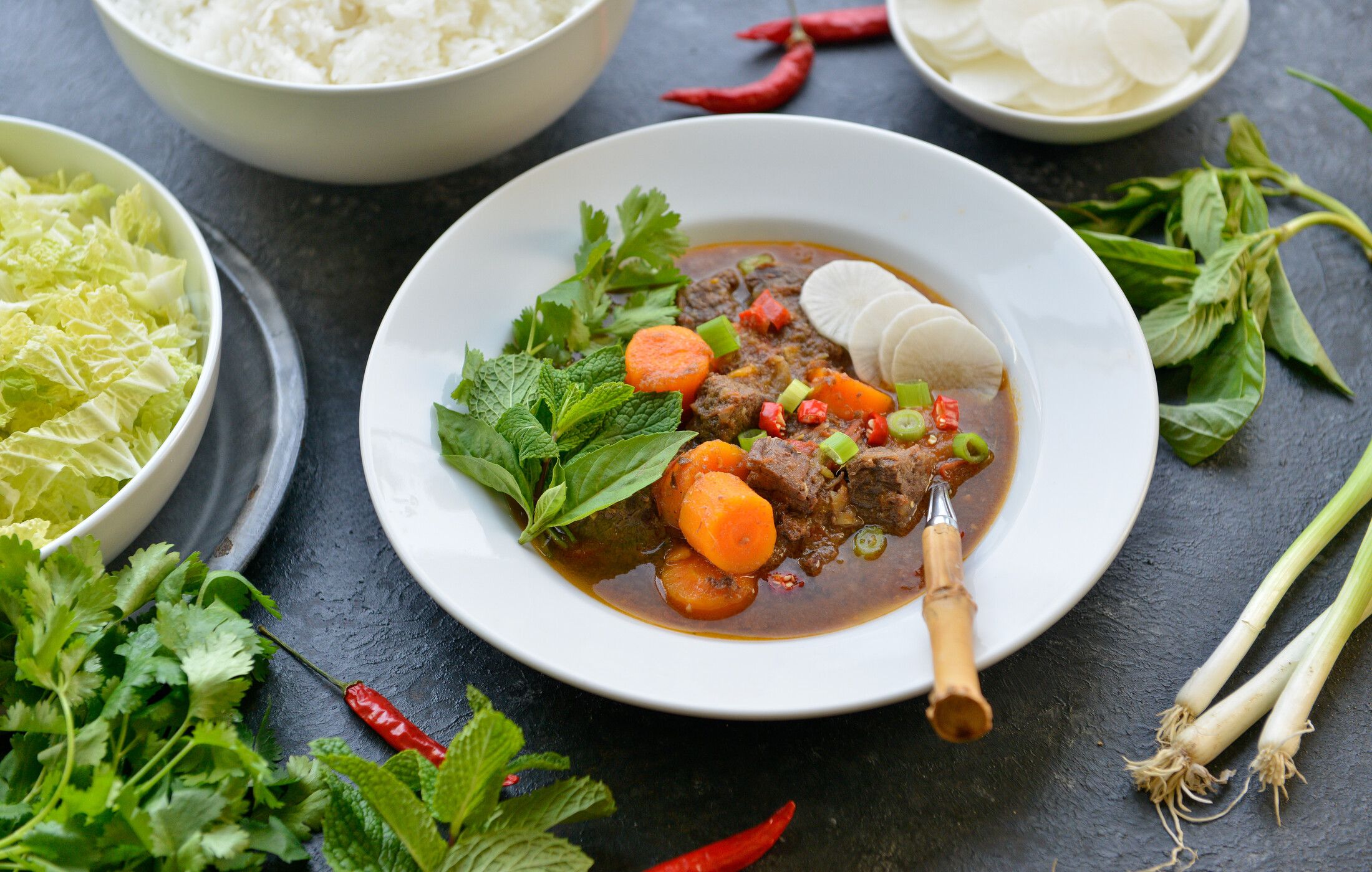 Vietnamese Beef Stew-3