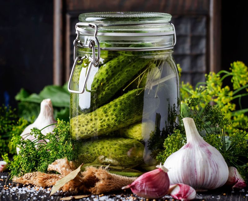 HOMEMADE FERMENTED DILL PICKLES-1