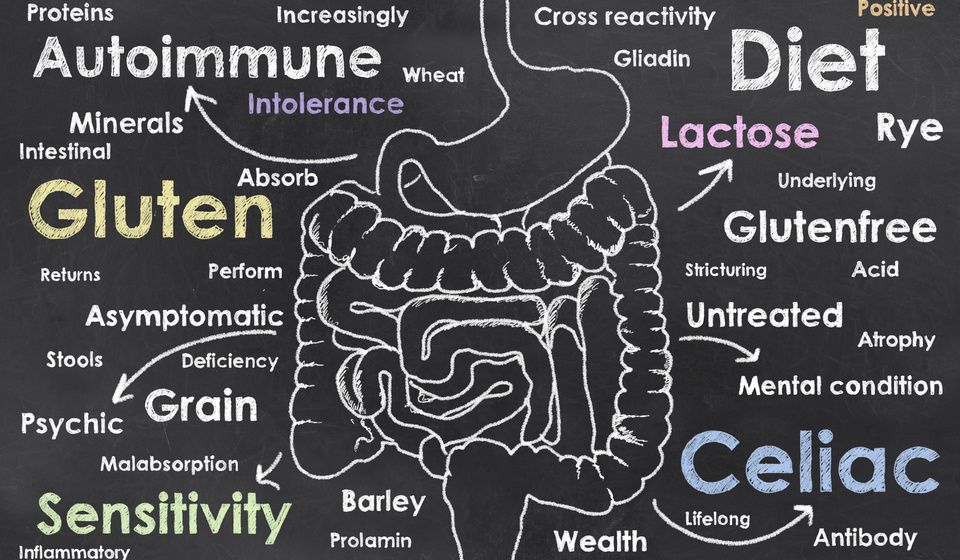 GUT INFLAMMATION-CHALKBOARD-1